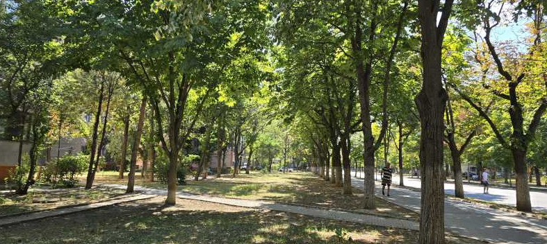 ”Urban foraging” la Buzău: proiect de transformare a spațiilor verzi în mici livezi